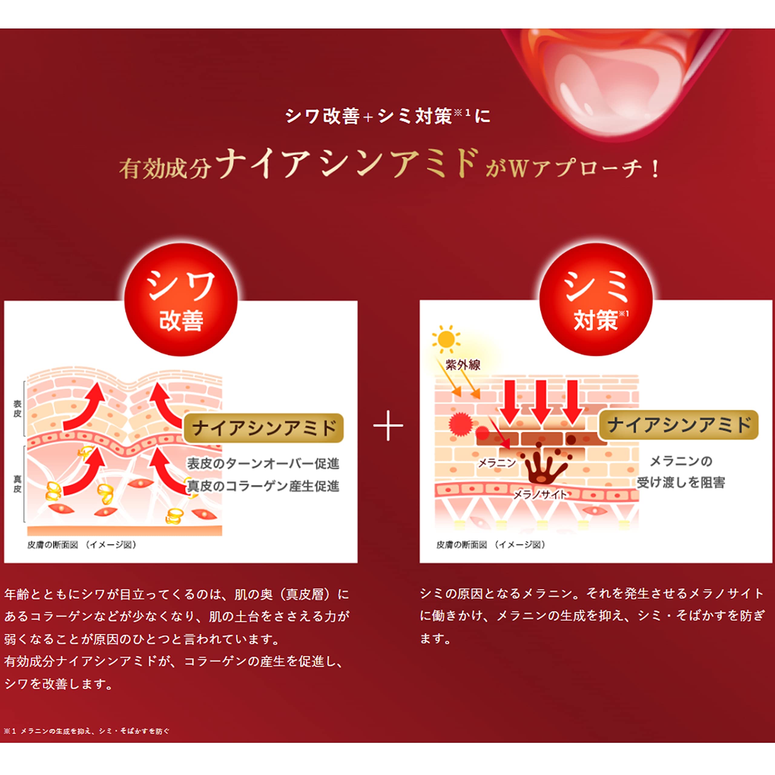 Amazon | 肌ラボ 極潤 薬用ハリ化粧水 本体+詰替セット +極潤